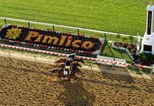 preakness picks