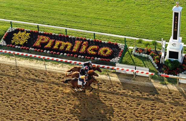 preakness picks