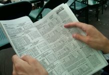 belmont stakes daily double picks