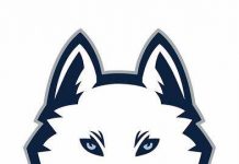 uconn basketball betting