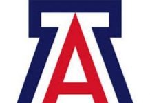 Arizona Wildcats Pick