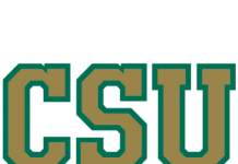 colorado state football