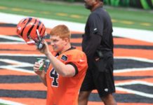 andy dalton and the bengals are 6 point underdogs at buffalo