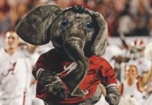 bama favored by 37 over ole miss