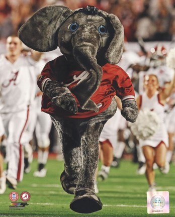 bama favored by 37 over ole miss bama favored by 37 over ole miss