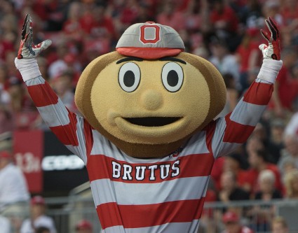 buckeyes favored by 39 over miami ohio