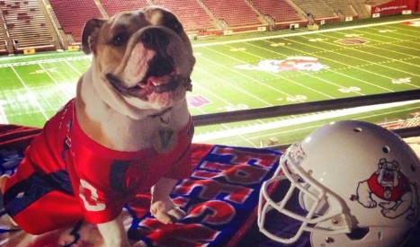 fresno state hosts minnesota week 2 college football fresno state hosts minnesota week 2 college football
