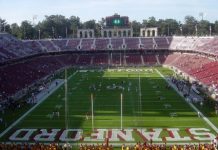 stanford home dog to washington