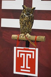 temple home dog to maryland temple home dog to maryland