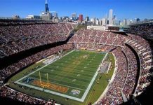 bears free pick