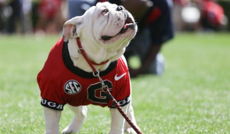 georgia football pick georgia football pick