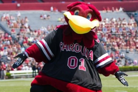 south carolina free football pick south carolina free football pick