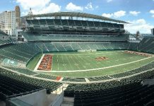 free bengals pick