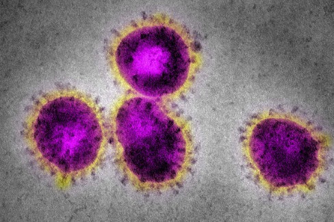 coronavirus betting coronavirus betting