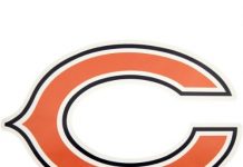bears picks
