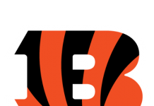 bengals betting