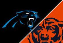 panthers bears pick