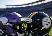 Vikings vs. Steelers NFL Pointspread Pick with Analysis