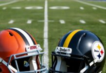 Browns vs. Steelers NFL Pick